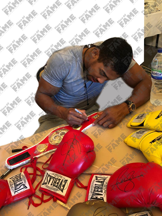 Anthony Joshua Hand Signed Everlast Glove – Private Signing – AFTAL COA