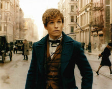  Eddie Redmayne Signed 10X8 Photo Fantastic Beasts & Where to Find Them COA (5457