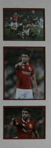Conor MURRAY Signed 2017 LIONS Rugby JERSEY IRELAND & MUNSTER AFTAL COA