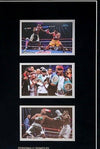 Floyd Mayweather Signed & FRAMED Boxing GLOVE TBE TMT AFTAL COA (C)