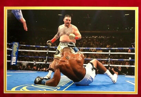 Andy Ruiz Jr Signed & FRAMED Photo Display Madison Square Garden AFTAL COA (FTO)