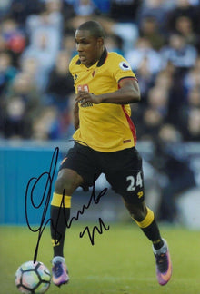  Odion Ighalo Signed 12X8 PhotoWatford F.C. Genuine Signature AFTAL COA (1882)