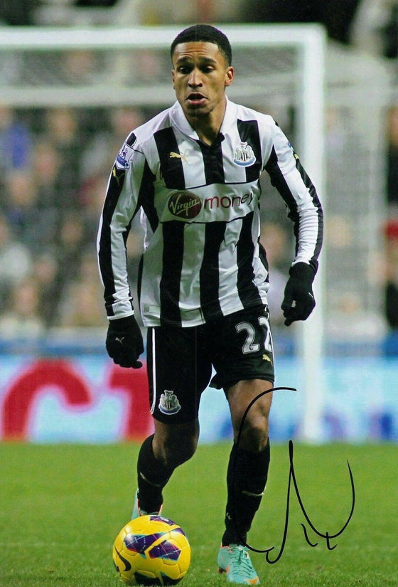 Sylvain Marveaux Genuine Signed Autograph 12X8 Photo Newcastle United (1922)