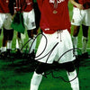 Andy Cole Signed 12X8 Photo Manchester United FC AFTAL COA (1546)