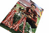 Trent Alexander-Arnold Signed 16X12 Premier League Winner Liverpool AFTAL COA (E