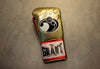 Floyd Mayweather Signed Boxing GLOVE Genuine Autograph EXACT PROOF AFTAL COA