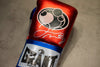 Floyd Mayweather Signed Boxing GLOVE Genuine Signature Manny Pacquiao AFTAL COA