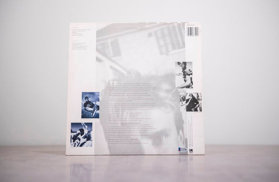Sting Signed The Dream of the Blue Turtles Vinyl Beckett Authentication Services