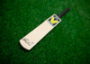 Jofra Archer Signed Mini Bat England CRICKET WORLD CUP AFTAL COA