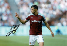  Aaron Cresswell SIGNED 12X8 Photo West Ham United F.C. Genuine AFTAL COA (1535)