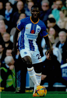  Moises Caicedo Signed 12X8 Photo Brighton & Hove Albion F.C. AFTAL COA (1530)