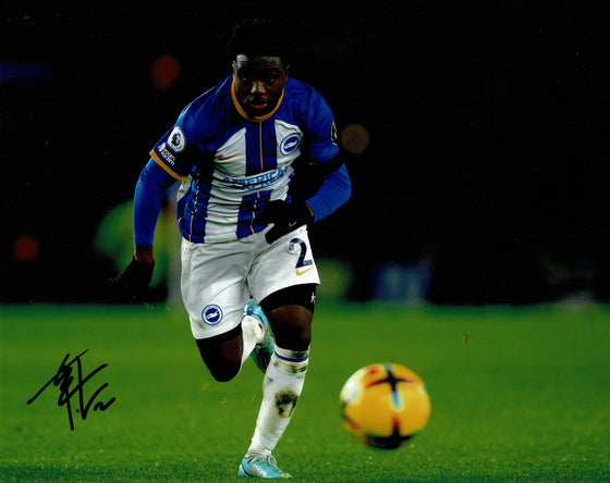 Tariq Lamptey Signed 10X8 Photo Brighton & Hove Albion F.C. AFTAL COA (1303)