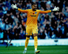  Robert Sanchez Signed 10X8 Photo Brighton & Hove Albion F.C. AFTAL COA (1304)