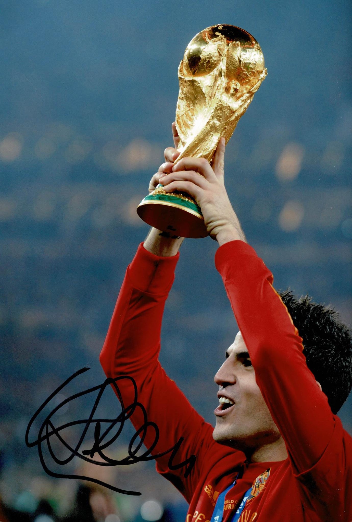 Cesc Fabregas Signed 12X8 Photo Spain World CUP 2010 AFTAL COA