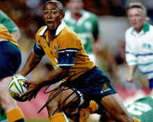  George Gregan Signed 10X8 Photo South Africa Rugby SPRINGBOKS AFTAL COA (2375)