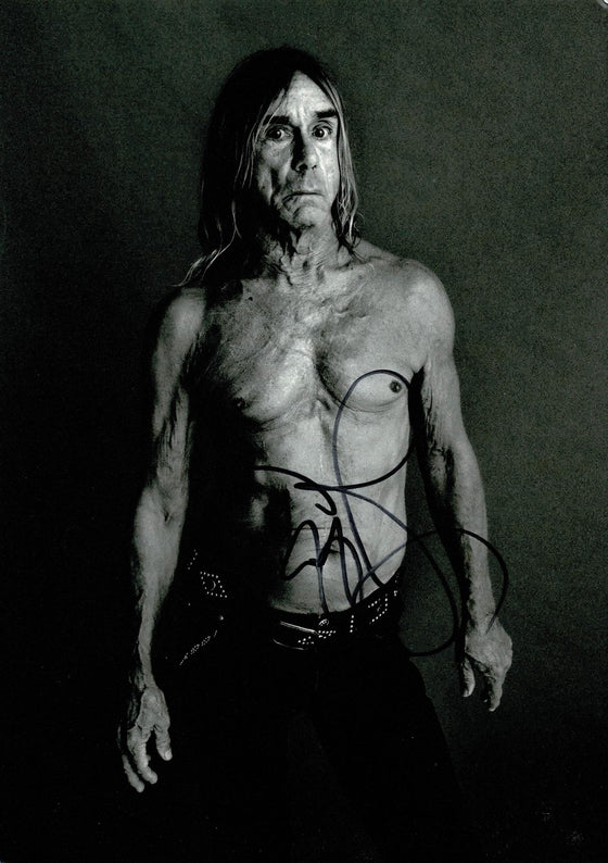 Iggy Pop Signed 12X8 Photo The Stooges Genuine Signature AFTAL COA (A)