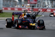  Daniel Ricciardo Signed 12X8 Photo Genuine Autograph Redbull AFTAL COA (3537)